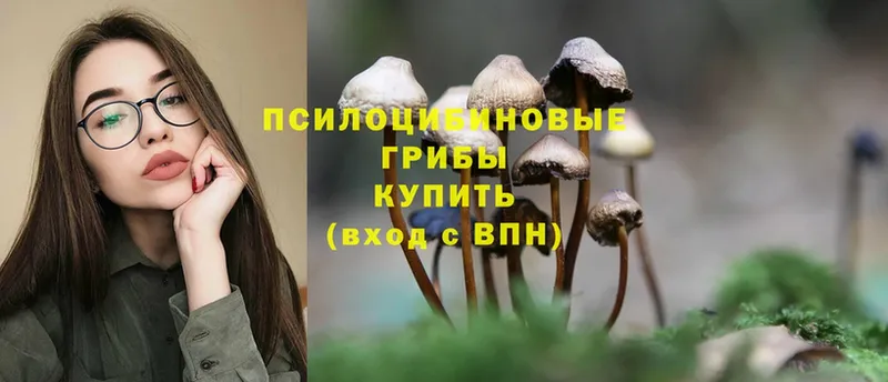 ОМГ ОМГ ONION  Донецк  Псилоцибиновые грибы Psilocybine cubensis 